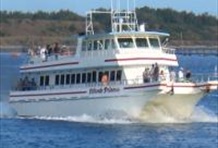 Cocoa Beach Area Atlantic Ocean Deep Sea Fishing